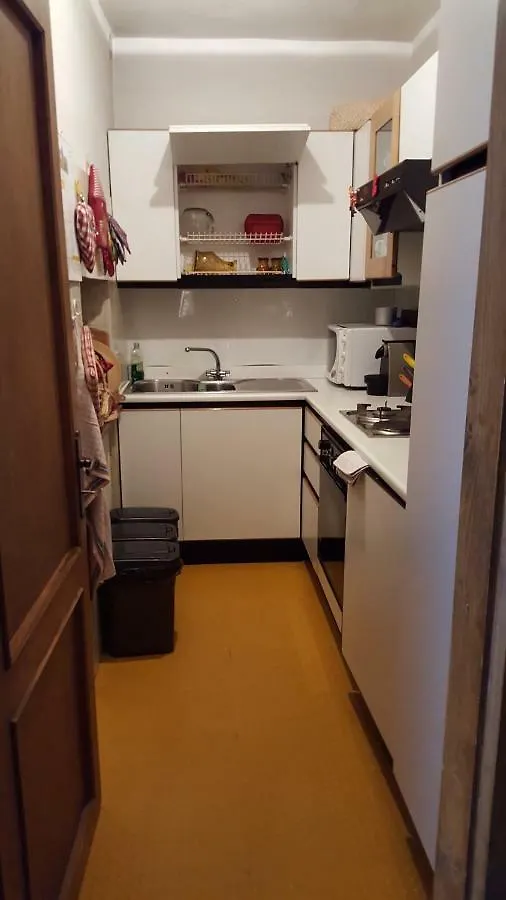 Apartment Grazioso Appartamento In Casa Di Montagna A San Vito Di Cadore